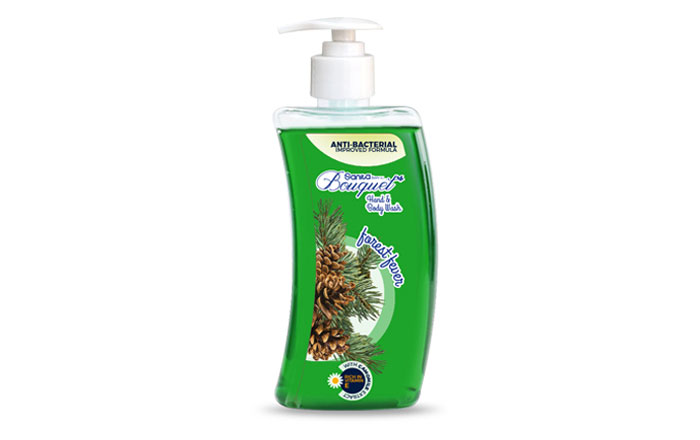 Liquid Soap (Forest Fever)